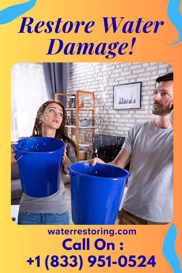 water restoration Horizon Water Removal Crew Hampshire