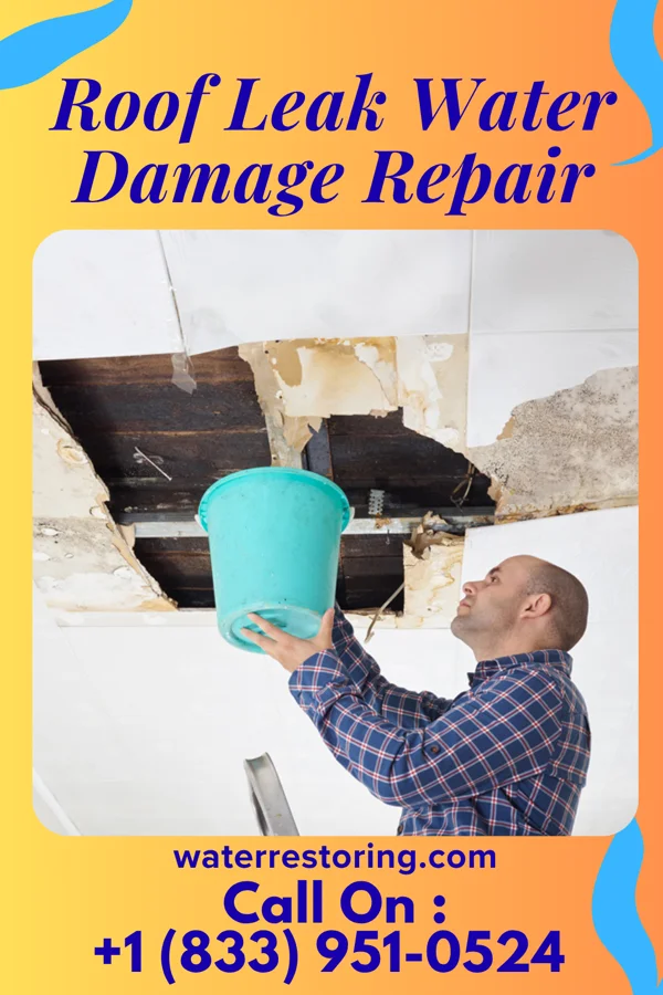 Roof Leak Water Damage Repair in Hampshire, IL