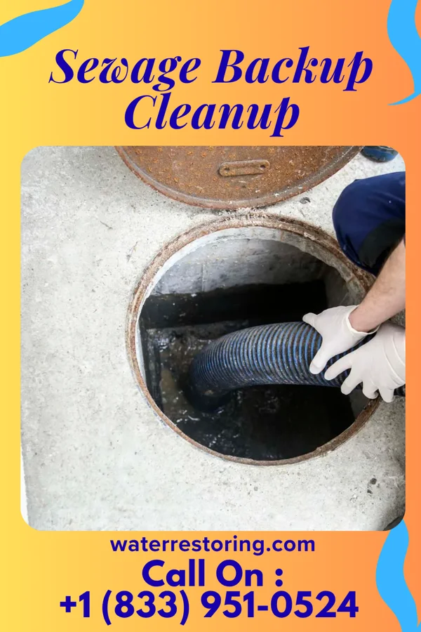 Sewage Backup Cleanup in Hampshire, IL