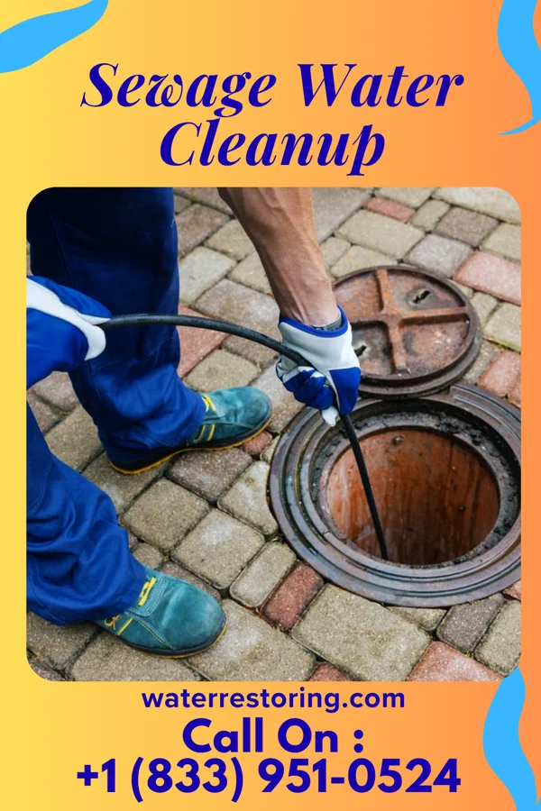 Sewage Water Cleanup in Hampshire, IL